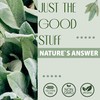 Nature's Answer, Peribrite Toothpaste Coolmint (Zahnpasta mit Minze), 113g, Laborgeprüft,