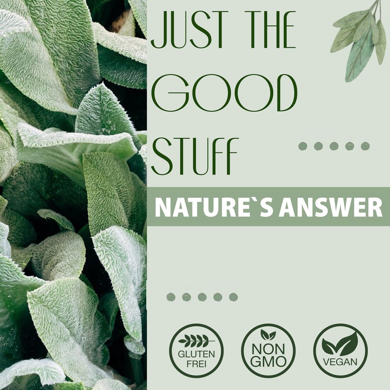 Nature's Answer, Peribrite Toothpaste Coolmint (Zahnpasta mit Minze), 113g, Laborgeprüft,