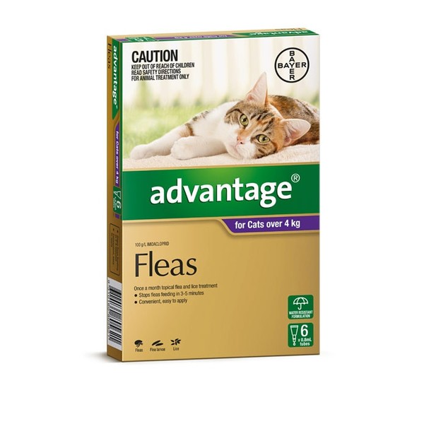 Advantage For Large Cats (Over 4kg) - 6 Pack