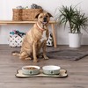 Bone Dry Paw & Patch Ceramic Pet Collection, Large Set,