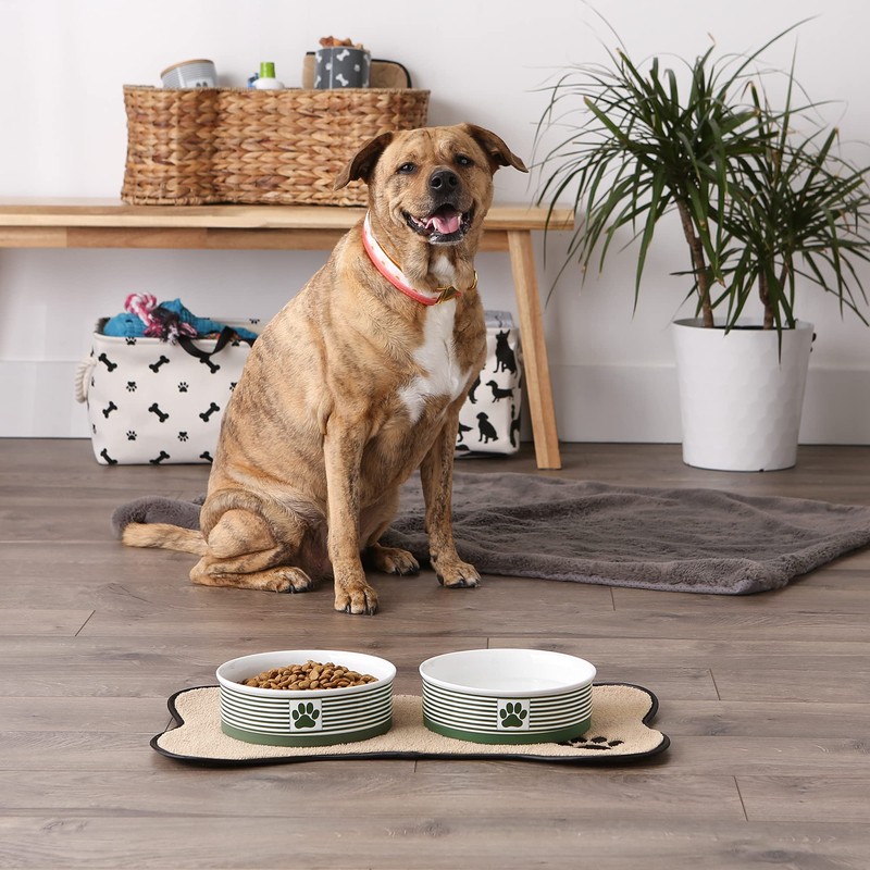 Bone Dry Paw & Patch Ceramic Pet Collection, Large Set,