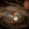 The Bridge Collection Faux Decorative Bird's Egg Nest - Cute