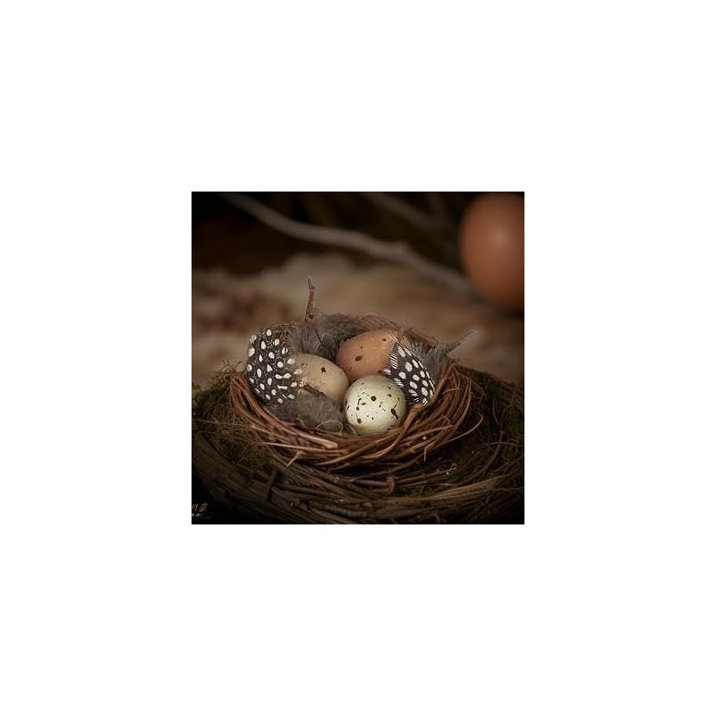 The Bridge Collection Faux Decorative Bird's Egg Nest - Cute