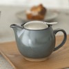 ZERO JAPAN BBN-02 SGR Teapot, Universal Teapot, 15.2 fl oz