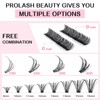 280 Pcs Individual Lashes 30D+40D Mixed Lash Clusters 14 Rows