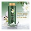 Shampoo BioExpert Shampoo 650 g