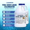 CPDI CPDI Champion 2 Pack Pool Shock 12.5 Liquid Chlorine,