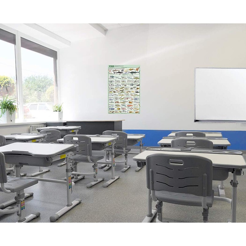 Feenixx Publishing Laminated Fish Educational Chart Print Poster 24x36