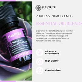 Plantlife Plantlife Calm Aromatherapy Essential Oil Blend - Straight from The Plant 100% Pure Therapeutic Grade - No Additives or Fillers - Made in California 10 ml