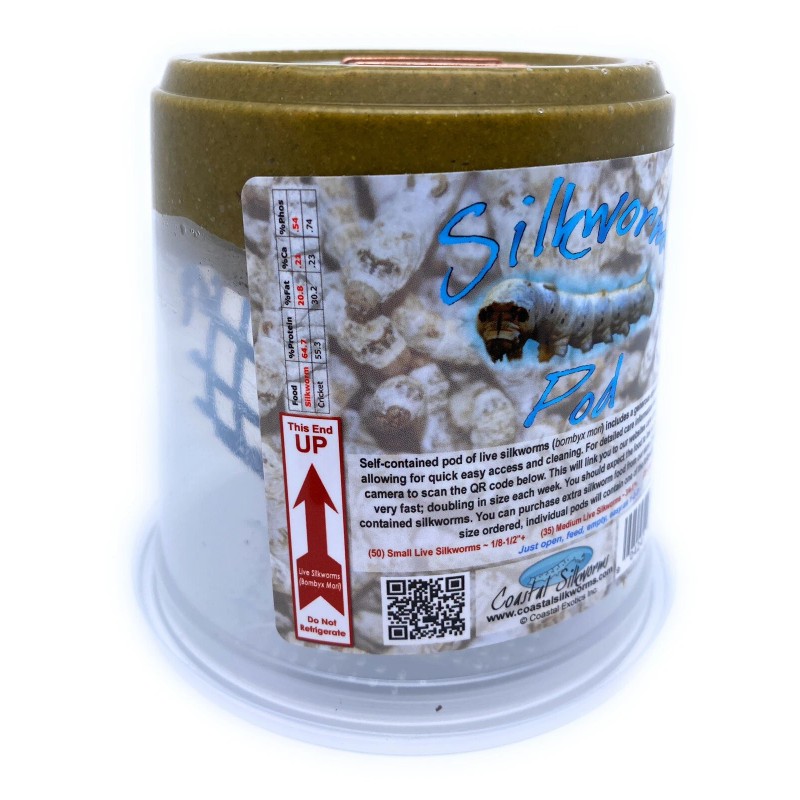 Coastal Silkworms Small Silkworm Pod® (50 Small Live Silkworms &