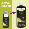 Shampoo Organo Y Nogal Cuarzo 550ml