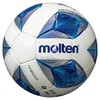 Molten F5A4900 Competition Ball White/Blue/Silver 5