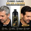 Shampoo Tinte Cubre Canas Ginseng Color Natural Hombremujer