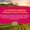 Natural Factors Bisglicinato de magnesio 200 mg 120 cápsulas vegetarianas