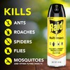 Raid Multi Insect Killer Aerosol Kills Ants Spiders Roaches and