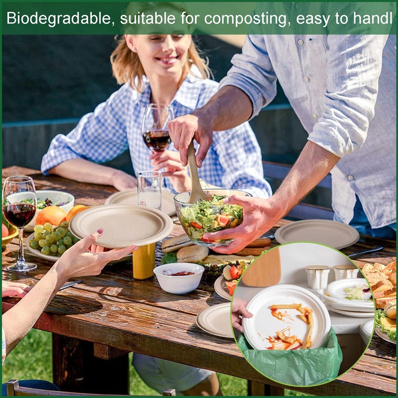 Brown Bagasse Eco-Friendly Compostable Biodegradable Plates, 6inch/15cm, 100Pack Sturdy Sugarcane
