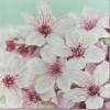 Decoupage Paper Napkins Luncheon Flowers Floral Pink Spring -  Pack of 20