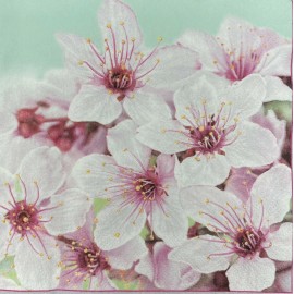 Decoupage Paper Napkins Luncheon Flowers Floral Pink Spring -  Pack of 20