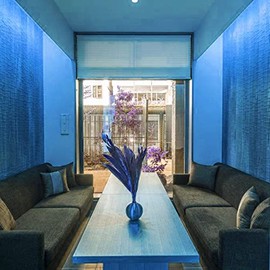 DOSYU Neón flex Tira LED luces de 5 Metro Tira led monocromo Forma ajustable para TV, Dormitorio,Halloween, Navideña, Decoración Hogareña, Iluminación de Armario con LED 3528 Brillante(Azul)
