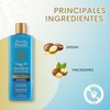 Every Strand Shampoo Hidratante con Aceite de Argan con Macadamia