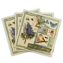 Colored Paper Cocktail Napkins, 20 Count Shabby Chic Napkins for Wedding, Dinner Tea Party Shower, Garden