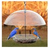 Woodlink Audubon NABBFDR 11-3/4 L Audubon Dome Top Seed & Bluebird Feeder