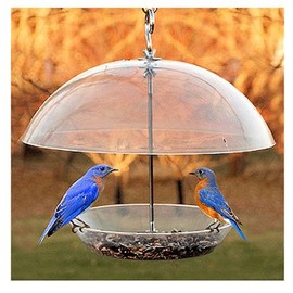 Woodlink Audubon NABBFDR 11-3/4 L Audubon Dome Top Seed & Bluebird Feeder