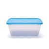 Mintra Home Storage Containers 4L (Blue)