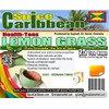 LEMON GRASS - 25 Tea Bags (ORGANIC loose Leaf Tea)