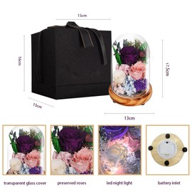 Valentines Day Gifts for Her Preserved Flowers Long-Lasting Real Roses in Glass Dome to Show Love Birthday Gift for Women,Wife,Girlfriend,Mom,Grandma,Sister (PURPLE-L)