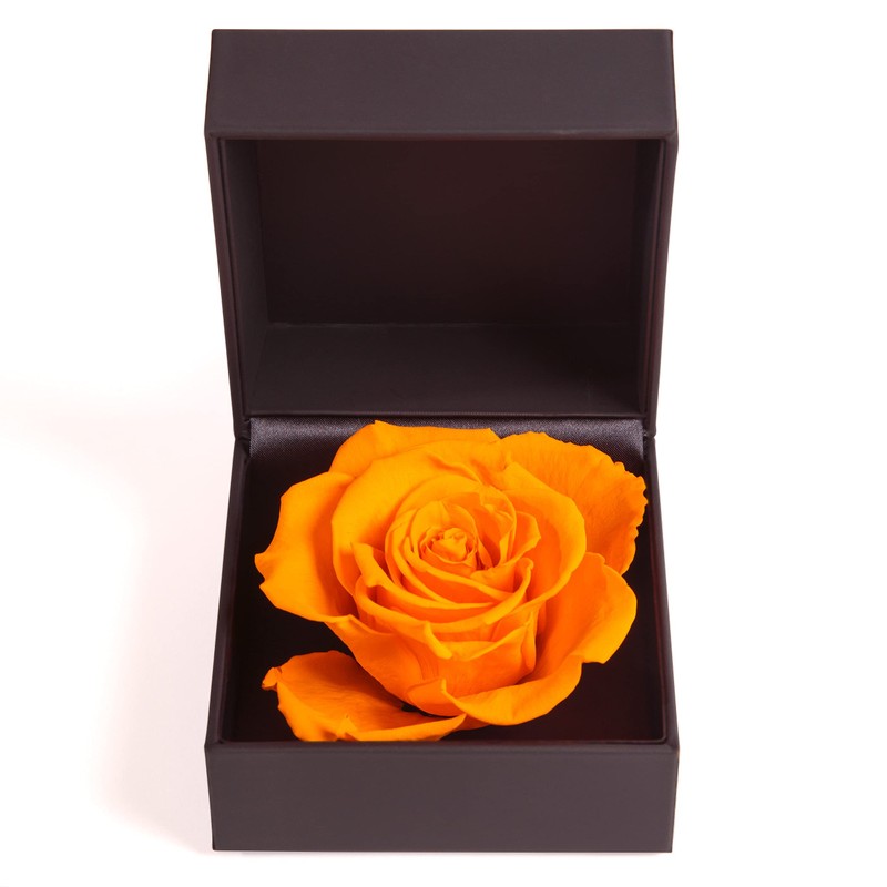 ROSEMARIE SCHULZ Heidelberg Rose Box Infinity Rose Preserved Gift Box