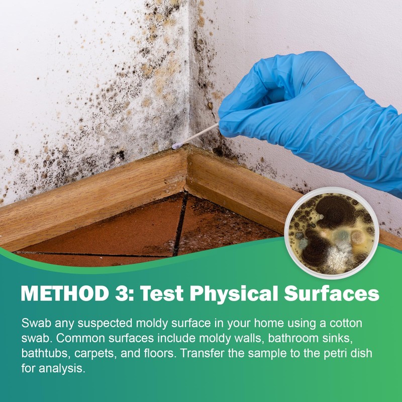 Carethetic Mold Test Kit for Home – 6 DIY Air,