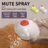 Cat Steam Brush, 3 in 1 Multifunction Steamy Spray Cleaning