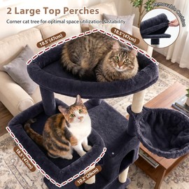 Gitelsnour Cat Tree, 78.7'' Cat Tower, 2 Big Condos for Multi Cats GCT061G