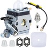 Hipa C1U-K54A Carburetor for Mantis Tiller 7225 7222M 7222 All-in-ONE