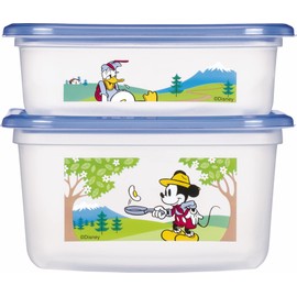Ziploc 2022 Rectangular Container, 16.9 fl oz (480 & 820 ml), 1 Each