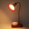 Phonograph Projection LED Desk Lamp Touch Control LED Desk Light