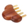 Sandalwood Massage Comb Wide Tooth Scalp Scraping Comb with Nose