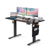 Marsail Electric Adjustable Height Standing Desk with Storage Bag, 48