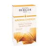 MAISON BERGER AROMA Energy Sparkling Zest Scented Bouquet