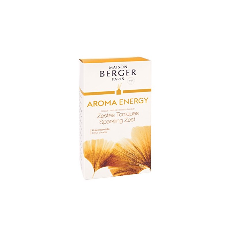 MAISON BERGER AROMA Energy Sparkling Zest Scented Bouquet