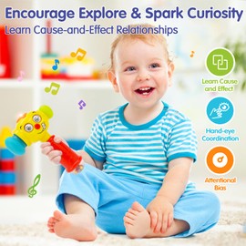 HOLA Toys for 1 Year Old Boy Birthday Gift - Hammer Baby Toy 12-18 Months, Musical Toddler Toys 1-2 with Light Flashing, Learning Toy for Toddlers 1-3 Easter Basket Stuffers for Babies Toddler