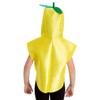 Charlie Crow Lemon Fruit Costume for kids 3-8 years.
