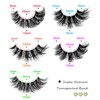 10 Pairs 5 Styles Mixed Clear Band Artificial Eyelashes Cat