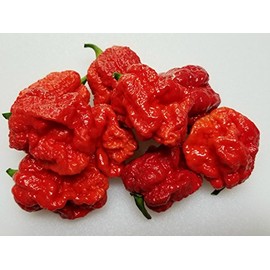 Skunk Red Hot Pepper 10+ Seeds