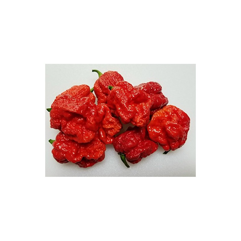 Skunk Red Hot Pepper 10+ Seeds