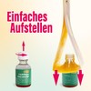 inseko Fruchtfliegen Falle I effektive Obstfliegenfalle I inkl. Fruchtfliegenköder und