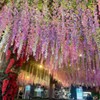 CISDUEO 12 Pack Wisteria Hanging Flowers 3.7 Feet Faux Flowers