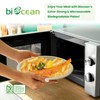 biocean 12.5 Inch Compostable Oval Plates [125-Value Pack] - Sustainable