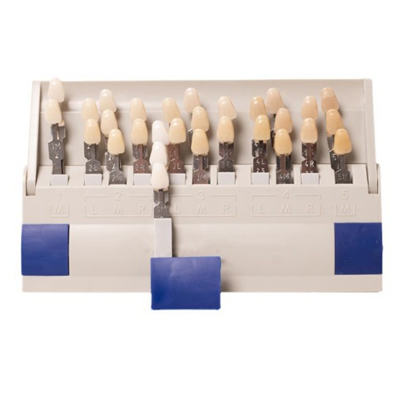 Teeth Whitening Shade Guide 29 Colors Comparison Individually Removable Tooth